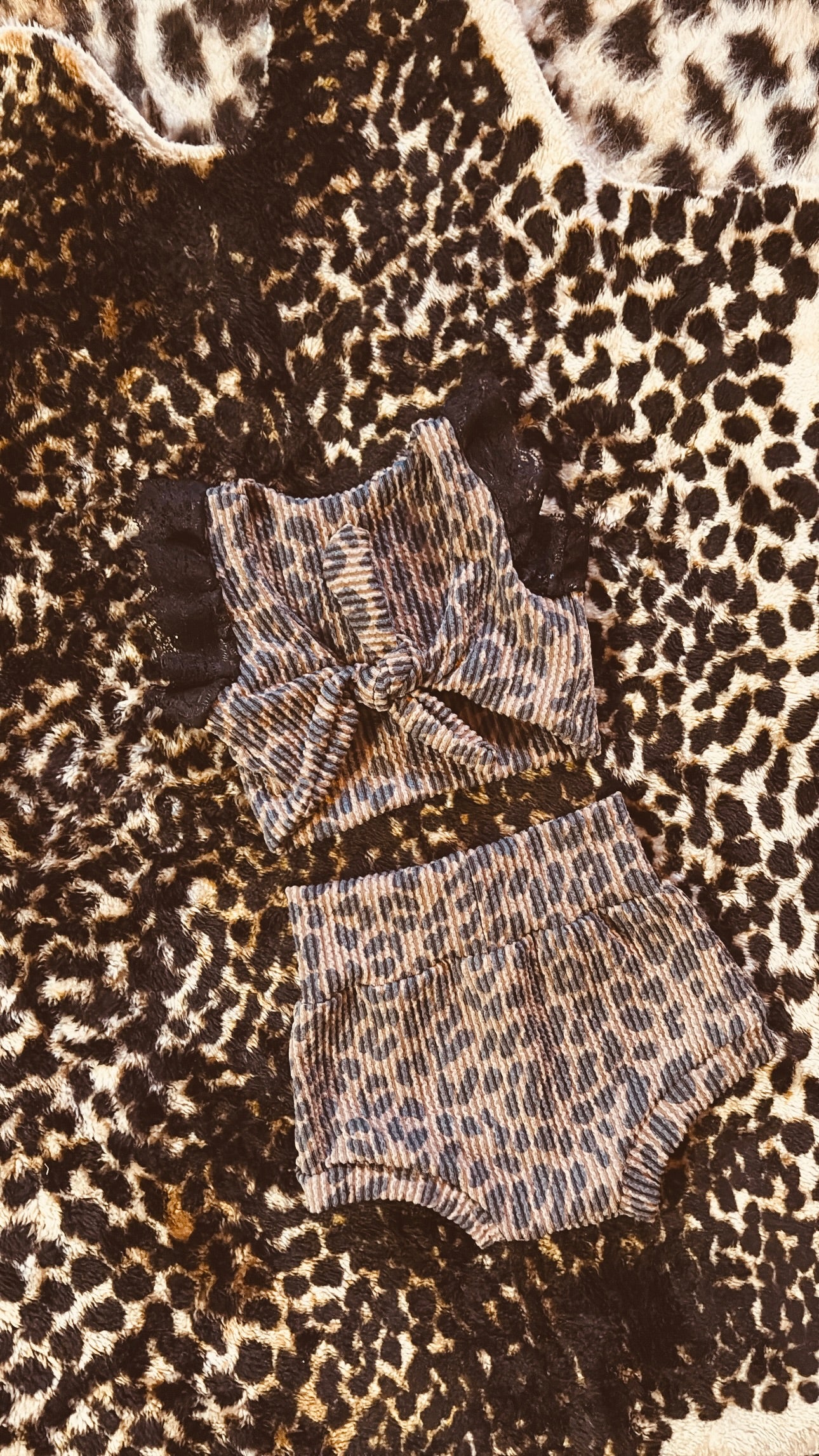 leopard