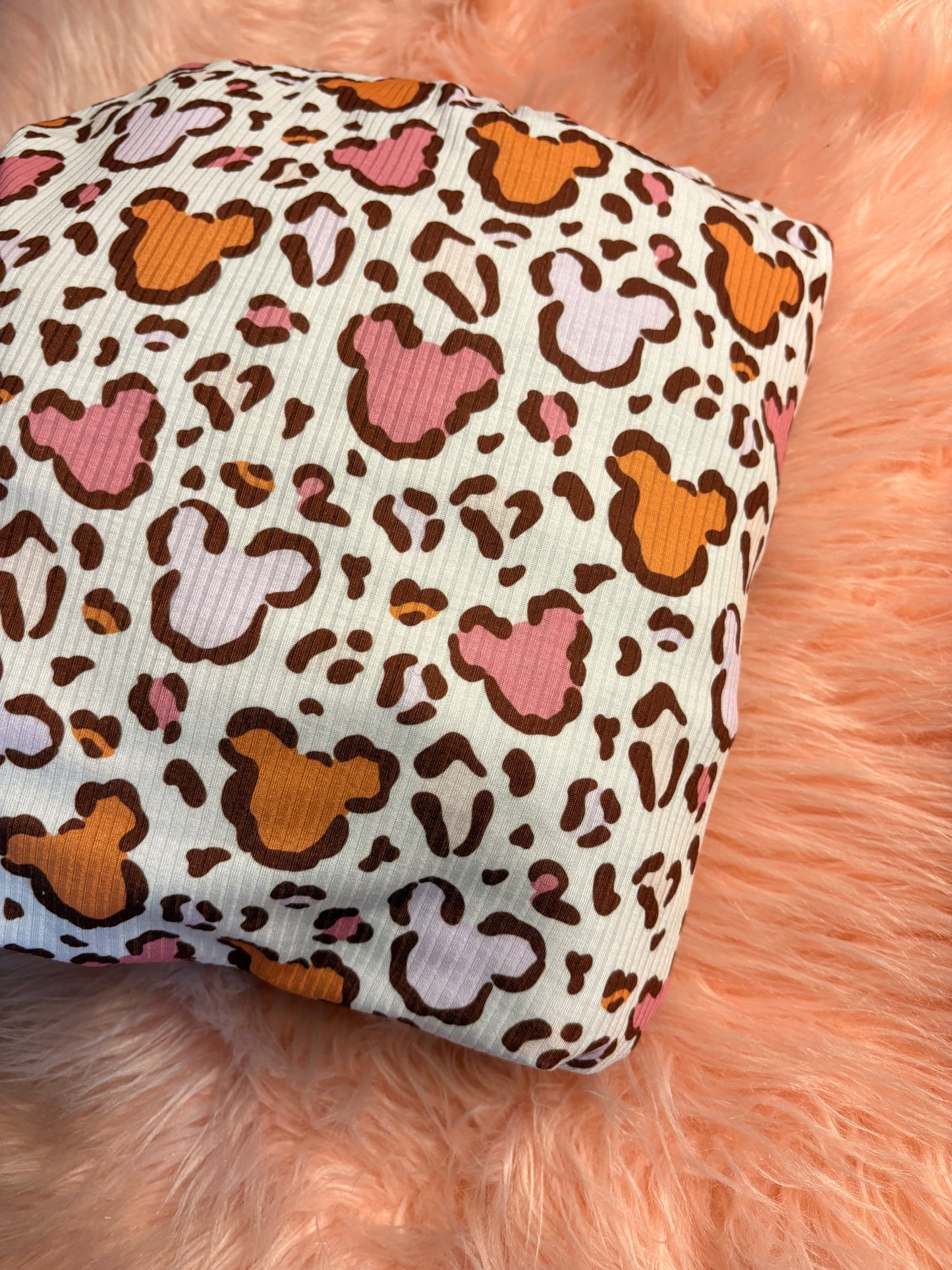 Cheetah Disneyy
