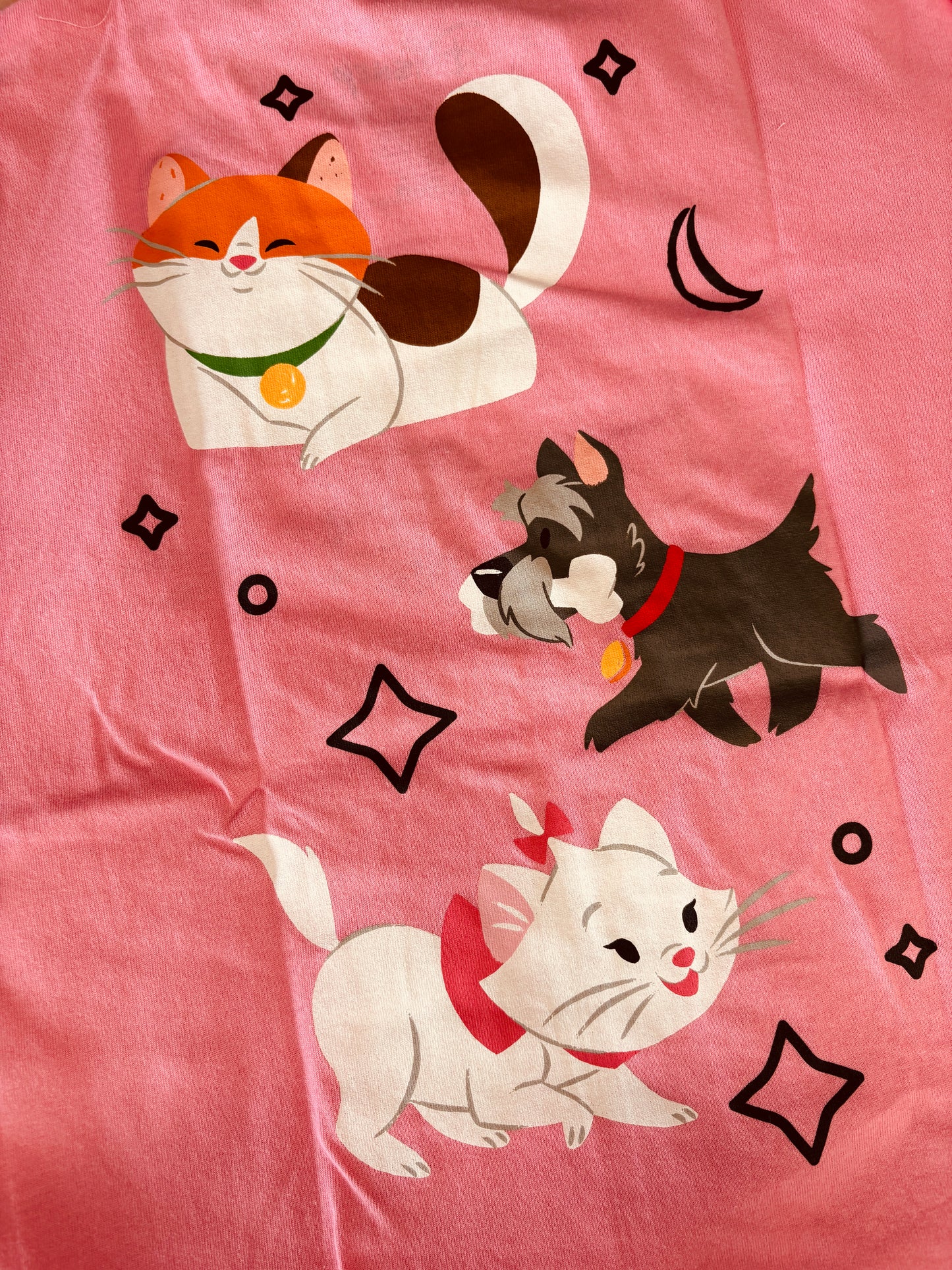 Stay pawsitive